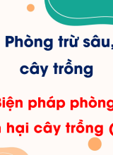 CN Trồng trọt - Bài 15. Biện pháp phòng trừ sâu, bệnh hại cây trồng (Tiết 2)